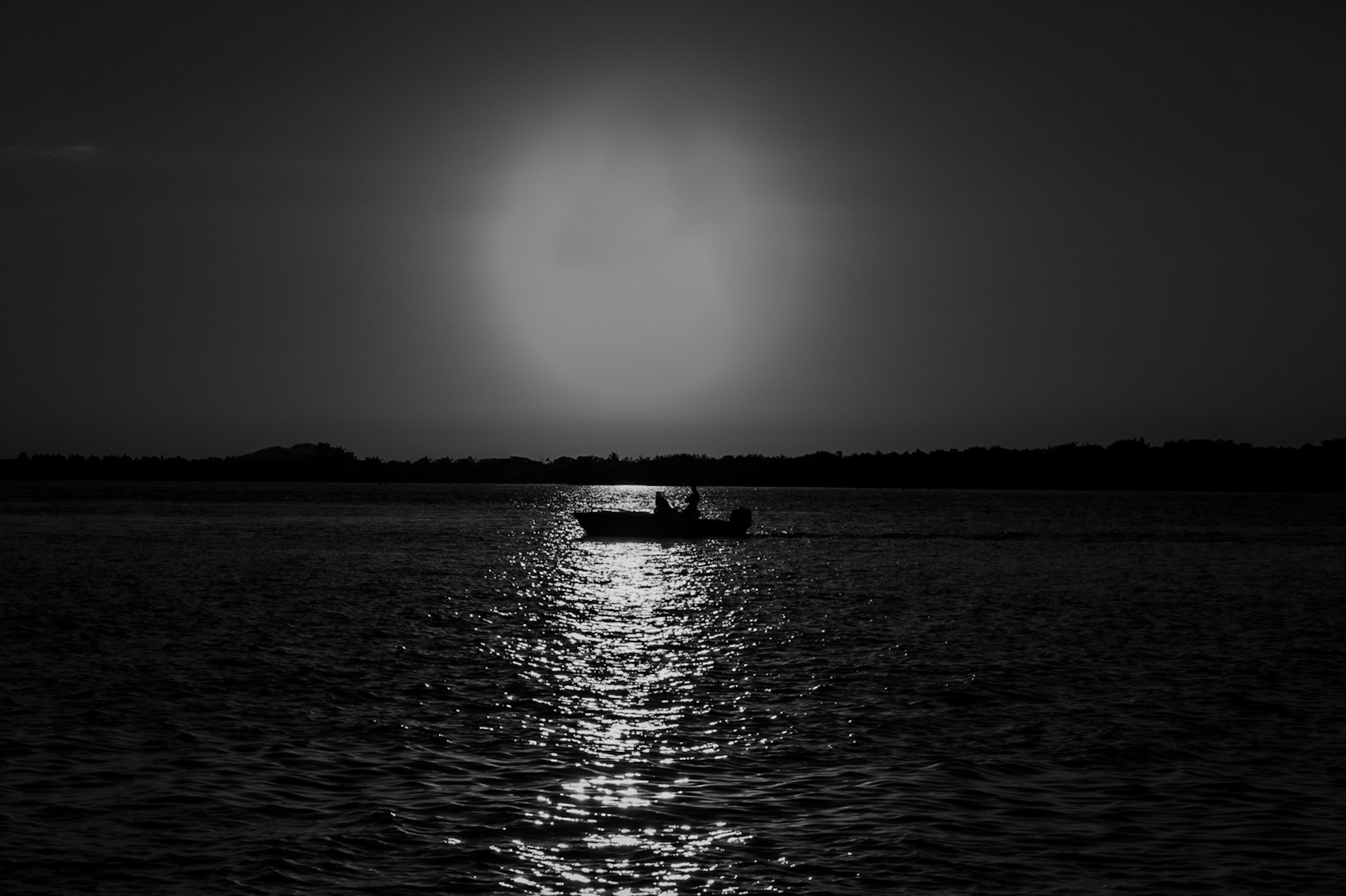 Silhouette, dusk — Florida