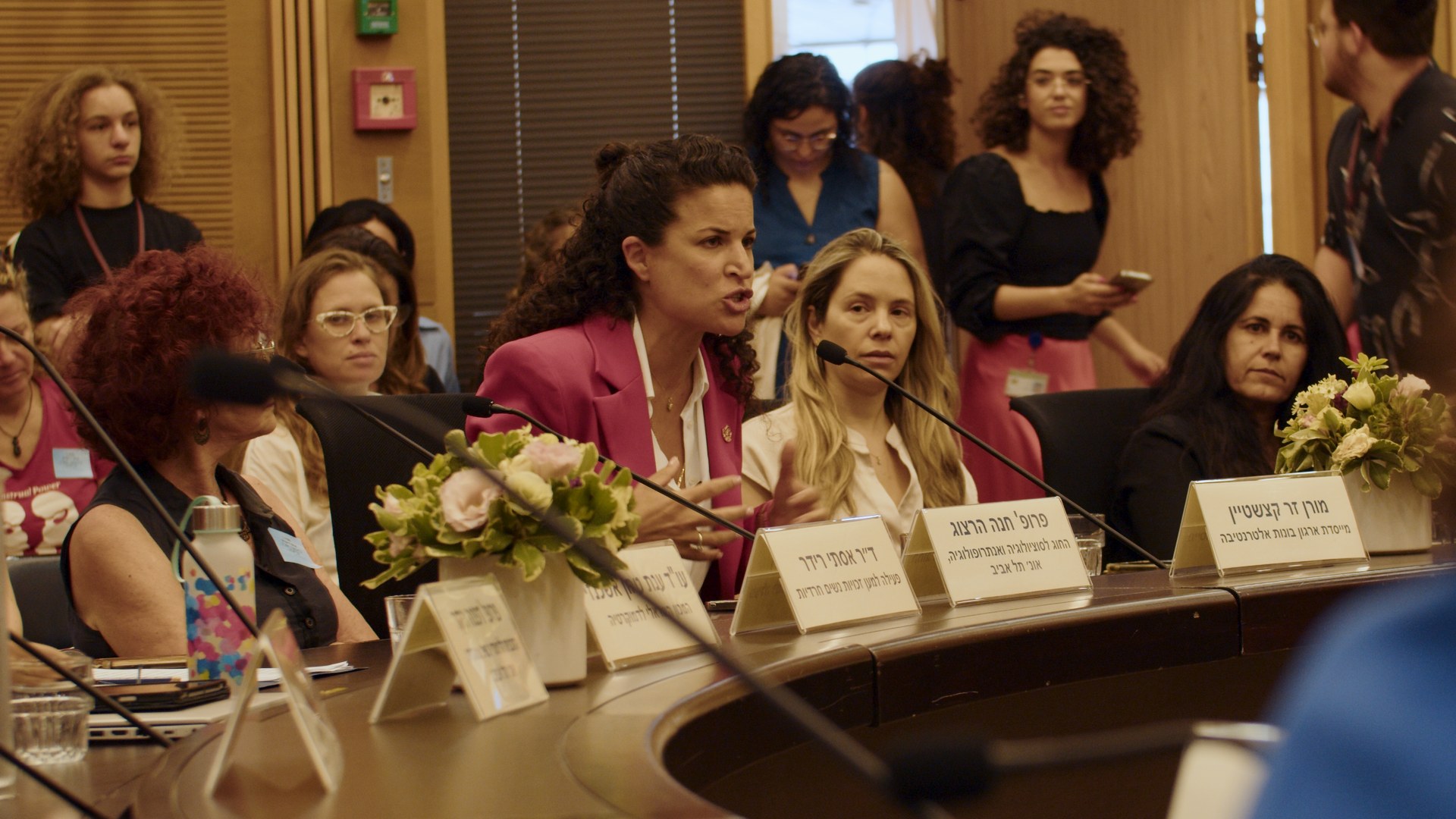 Panel hearing. A woman in pink at the microphone.